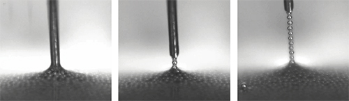 When the electrode is raised, a conductive chain is pulled out of the dispersion.