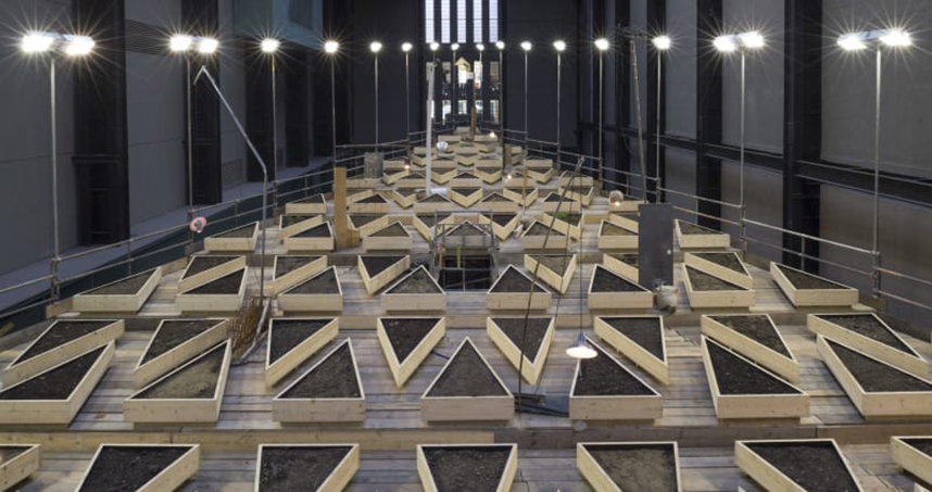 Cruzvillegas' "Empty Lot" installation at the Tate Modern.