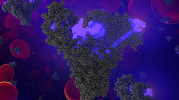 A modified chemotherapy drug hitches a ride through the bloodstream on human serum albumin.
