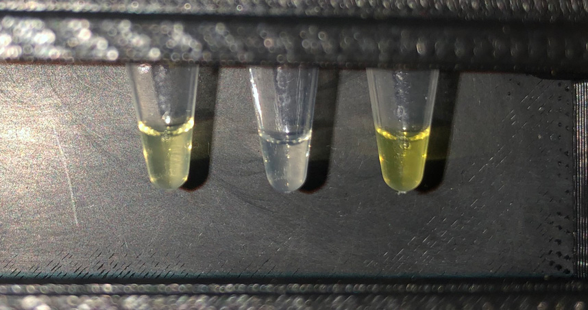 The test tube on the left shows a positive result from water sampled in Costa Rica.