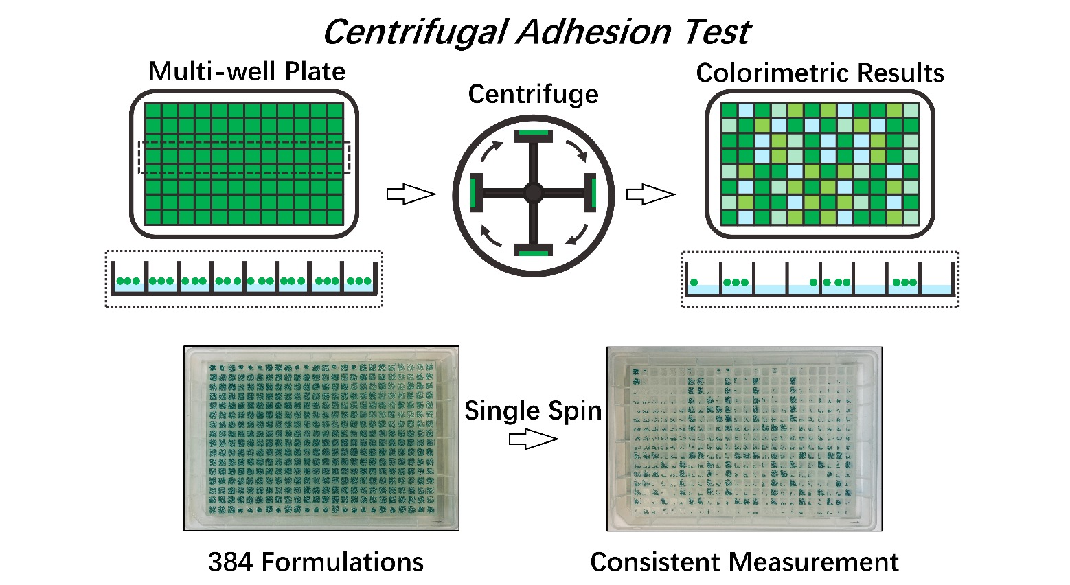 In the experiment, colored microparticles are placed on individual formulations in a multi-well plate, and centrifuged. Stronger adhesives retained more particles. The experiment is demonstrated by displaying a pattern, displayed in stronger formulations within a background of weaker adhesives. 