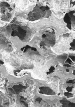 Voids of space between thin, curvy struts of metal alloy give the alloy magnetic shape memory.