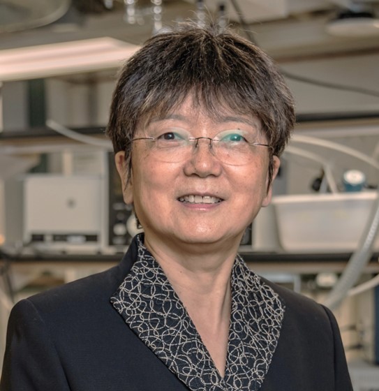 Dr. Q. Jane Wang