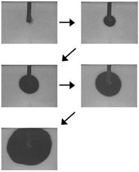 Fluid Dynamics