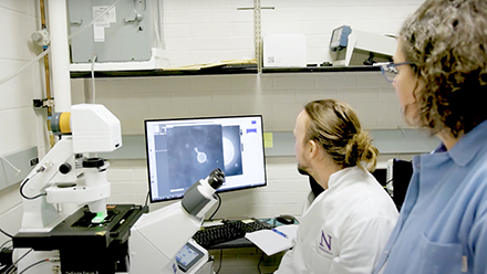 Researchers looking at images in lab