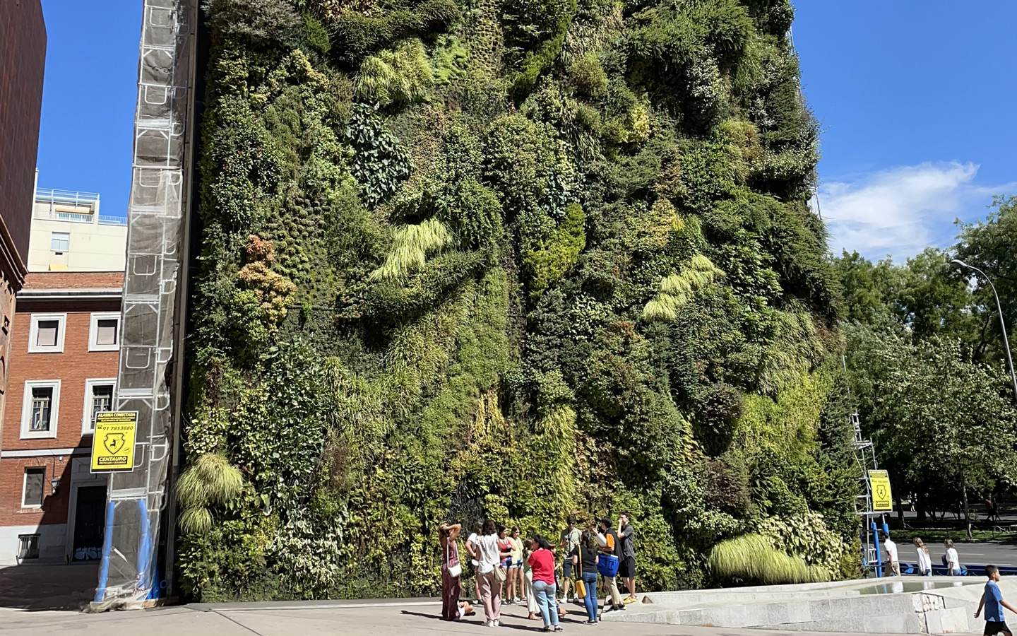 Students view a vertical garden