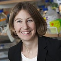 Kristen Naegle, PhD