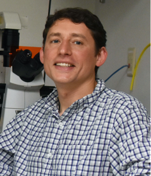 Ilya Levental, PhD | Associate Professor of Molecular Physiology and Biological Physics, University of Virginia School of Medicine