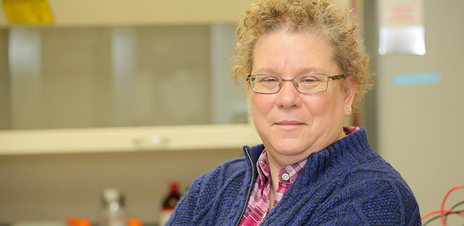 Professor Gayle Woloschak uses radiobiology and bionanotechnology to develop new tools for treating cancer.