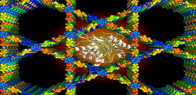 Immobilization of enzymes/biomolecules in carriers for long-term stability & controlled activity in biocatalysis & drug delivery
