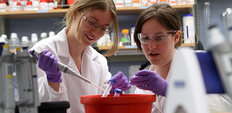 Our award-winning faculty members are transferring their research expertise and passion to students on a daily basis.