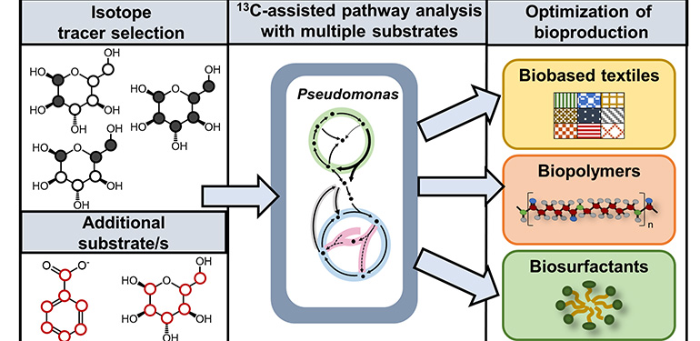 Stable isotope-assisted metabolomics to elucidate mixed-carbon metabolism in soil Pseudomonas species (Aristilde)