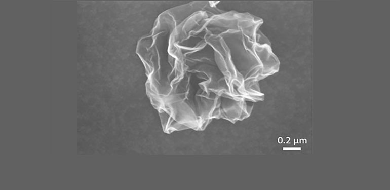 SEM of Graphene Crumpled Balls for Micropollutant Adsorption (Gray)