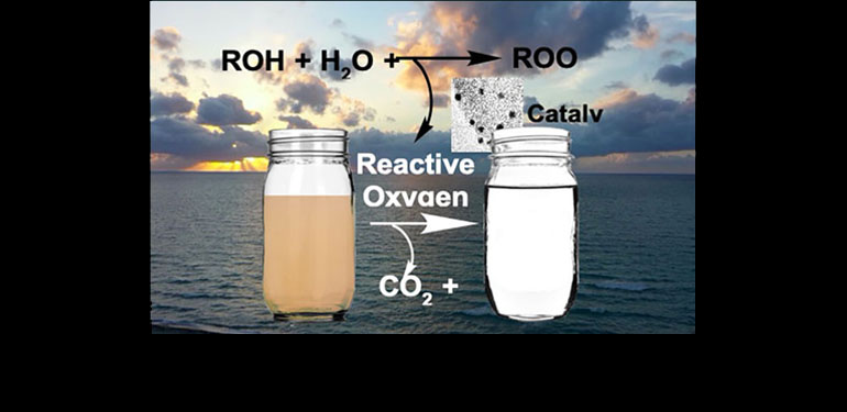 Potential route for simultaneous catalytic decontamination and sanitization of water (Kung)