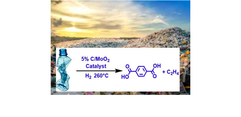 Waste Polymer Deconstruction (Marks)
