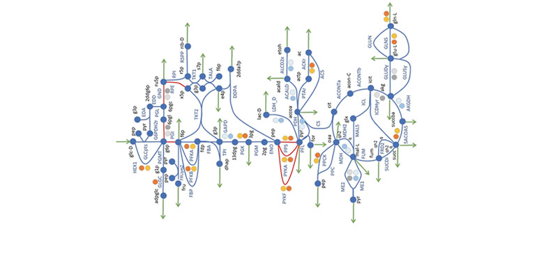 The challenges of engineering metabolism can be overcome by modeling and systems biology (Tyo/Broadbelt)