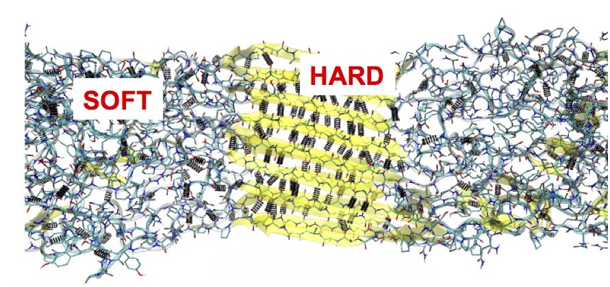 Molecular structure of spider silk.  (Credits: S. Keten)