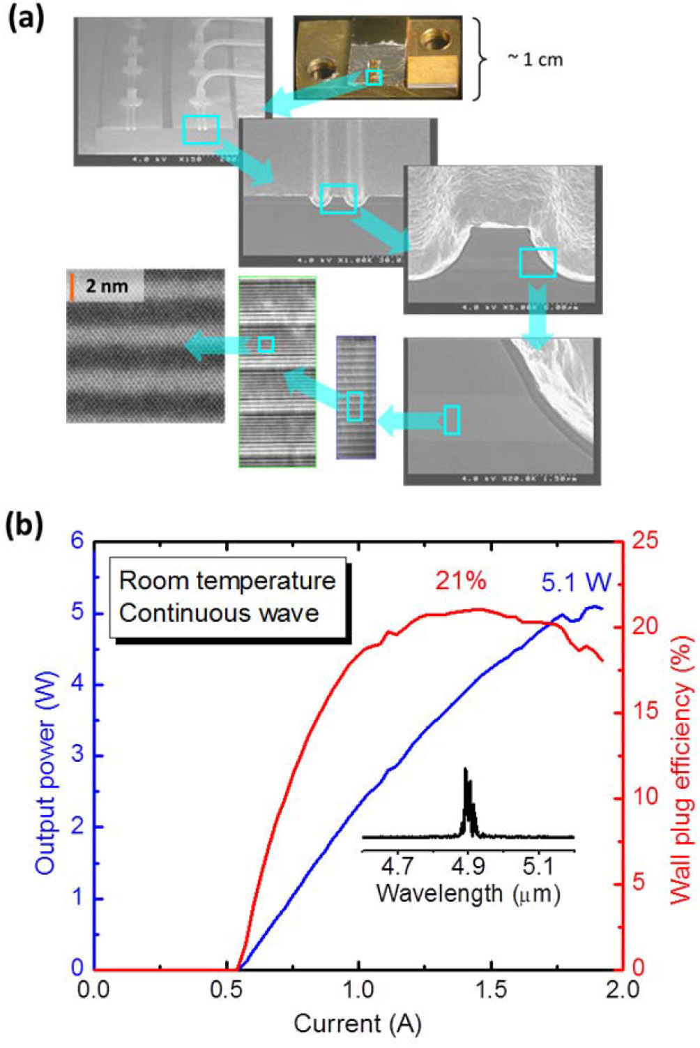 Figure 1A