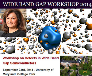 Wide Band Gap Workshop 2014