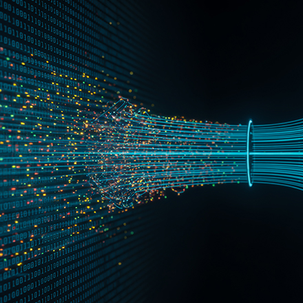 Networks visualization