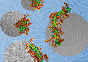 DNA molecules (light green), packaged into nanoparticles by using a polymer with two different segments. One segment (teal) carries a positive charge that binds it to the DNA, and the other (brown) forms a protective coating on the particle surface.