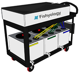 The McCormick-designed anesthesia system is used by the Shedd Aquarium for surgeries and for controlling the dosage of anesthesia given to fish.