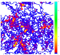 Bacteria lay sugar trails (shown here in computer simulations) to help find each other. The green/yellow areas have the highest sugar concentration and act as formation points for bacterial colonies that grow into biofilms.