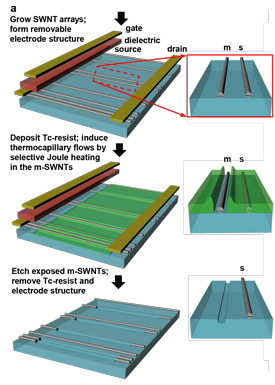 Researchers have developed a process for purifying arrays of single-walled carbon nanotubes (SWNTs).