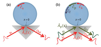 In a whispering-gallery-mode resonator, a photon could become so intense that it produces a nonlinear effect, enabling quantum gates. Reprinted with permission, Yu-Zhu Sun, Yu-Ping Huang, and Prem Kumar, PRL 110, 223901 (2013).
