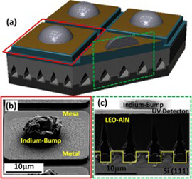 Figure 2. Photodetector grown on silicon. (a) Plan-view of illustration of processed array. (b) Plan-view SEM image of the processed photodetectors demonstrated crack-free surface. (c) Cross-sectional SEM image of the processed photodetector.