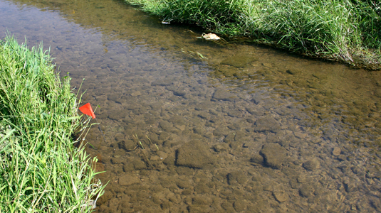 A close-up look of the riverbed in Sugar Creek, Indiana. One of Packman’s study sites, Sugar Creek has been straightened, deepened, and had tile drains installed to favor rapid removal of water from agricultural lands.