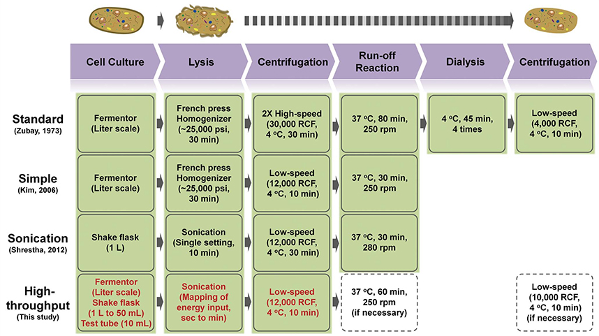 Cartoon highlighting a variety of representative methods for E. coli crude extract preparation.