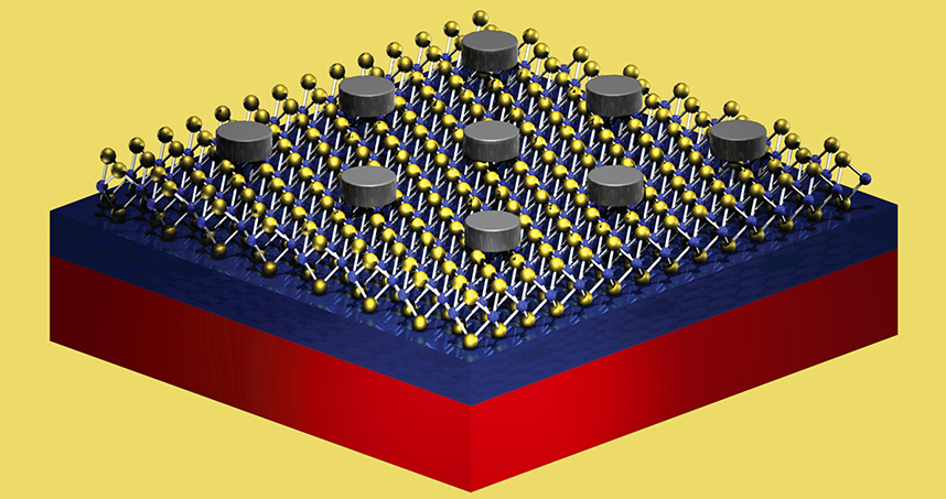 Silver nanodiscs on monolayer molybdenum disulfide