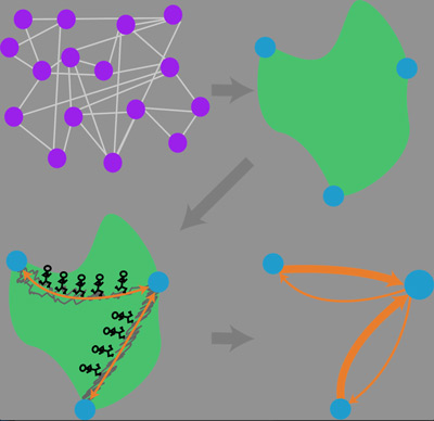 Researchers showed that randomness within and among cells, called “noise,” can be manipulated to control the networks that govern the workings of living cells.