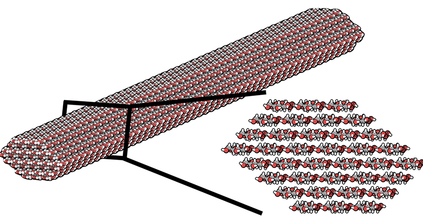 An illustration of a single cellulose nanocrystal and cross-section.