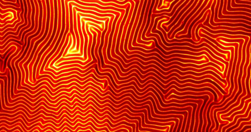 Second Place, James Hendrick, 'Chaos to Order'