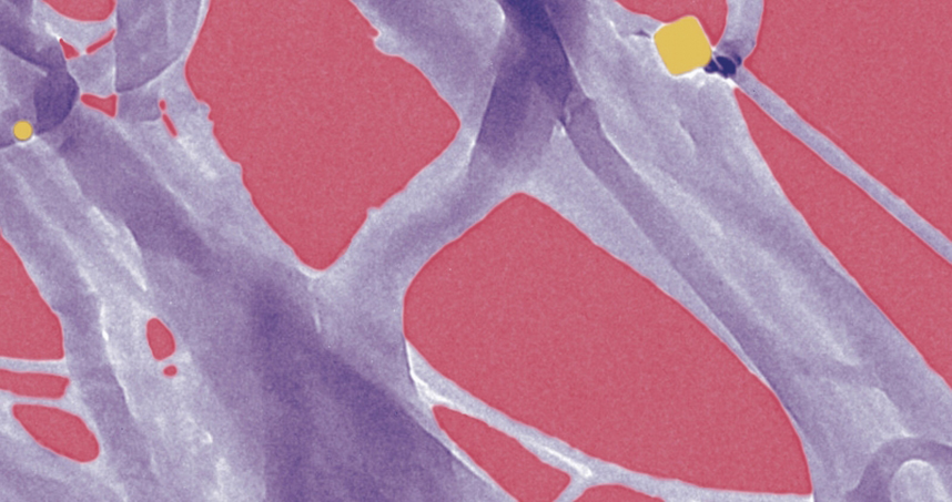 Honorable Mention, Christine Laramy, 'Practice Makes Perfect'