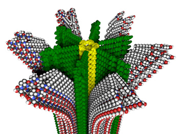 Northwestern University researchers have developed a new hybrid polymer with removable supramolecular compartments, shown in this molecular model. [Credit: Mark E. Seniw, Northwestern University]