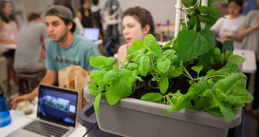 Members from Engineers for a Sustainable World displayed their plans for a programmable, hydroponic garden.