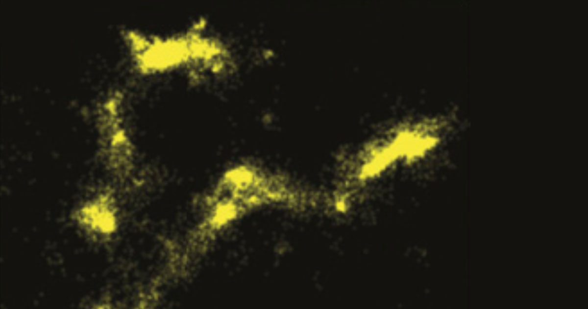 Researchers Discover that DNA Naturally Fluoresces News