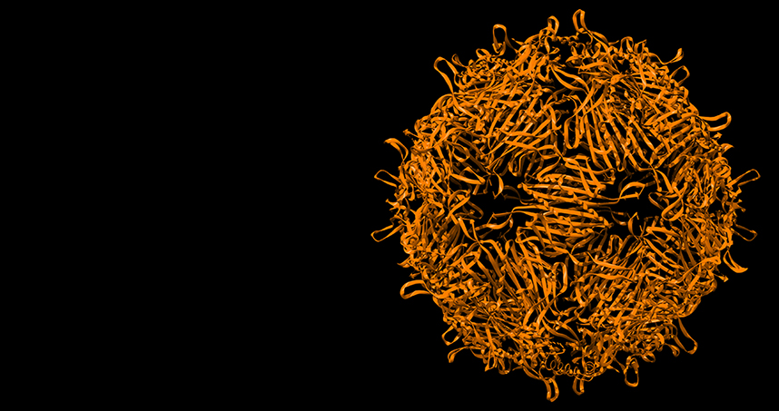 Tullman-Ercek's miniature capsid particle.