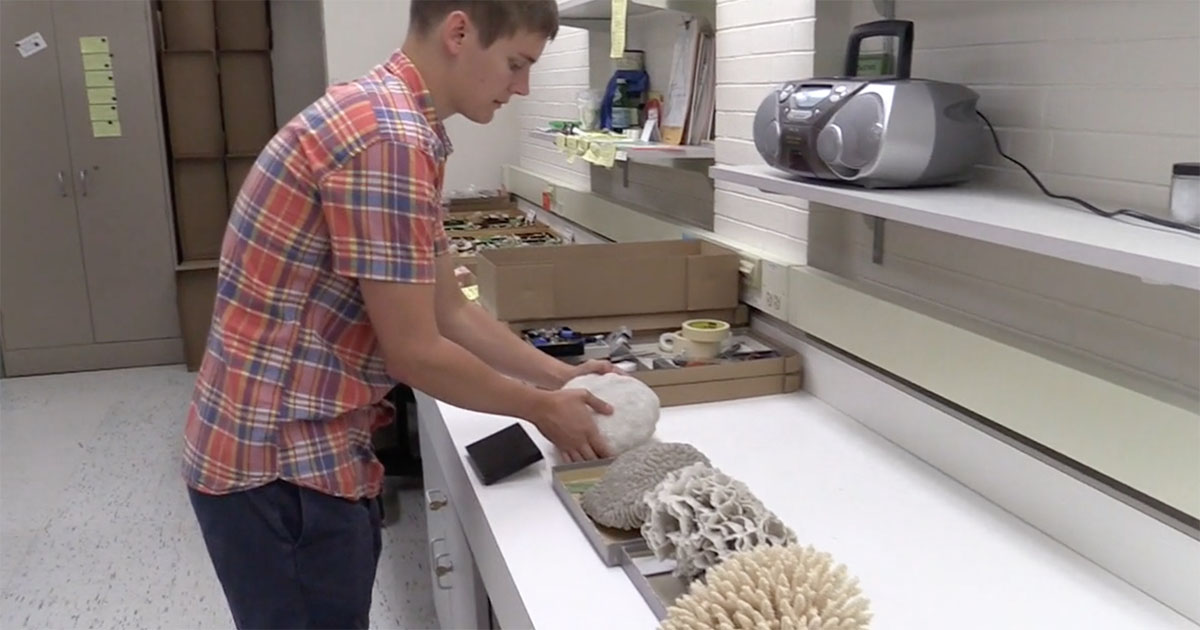 Northwestern Engineering undergraduate Phillip Osborn studies corals at The Field Museum of Natural History.