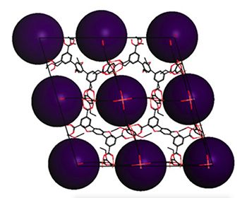 A schematic of the variant of NOTT-101.