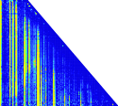 This matrix of the RNA folding pathway shows how the transcription length and nucleotide positions change over time. (Nucleotide position is along the x-axis; transcription length is along the y-axis.) Each pixel in the matrix is a piece of information about the structure of the RNA molecules.