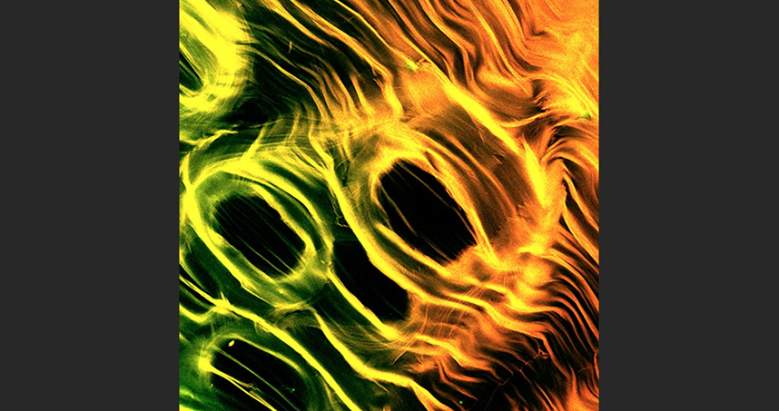 Honorable Mention: Zaida Alvarez and Christopher Synatschke, "Working Better Together"