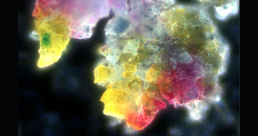 Honorable Mention: James Hedrick, "Exposing the Colors Within"