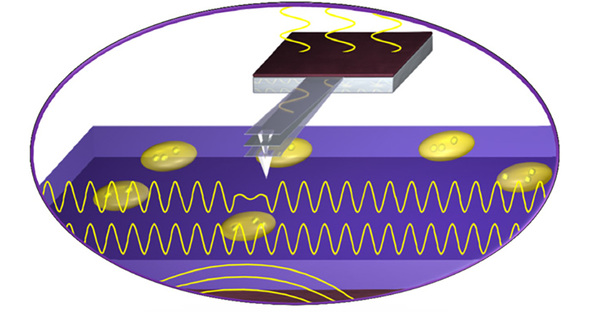 A schematic illustration of Shekhawat and Dravid's ultrasound bioprobe