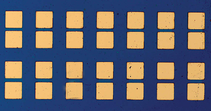 Optical micrograph of fabricated MoS2 memtransistors with varying channel length.