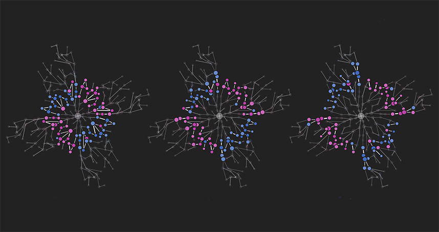 SWING puts together a more complete picture of cause-and-effect interactions among genes.