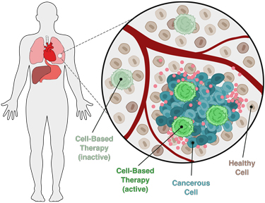 The R01 grant will fund research to build technologies that advance cell-based therapies. Illustration credit: Jessica S. Yu